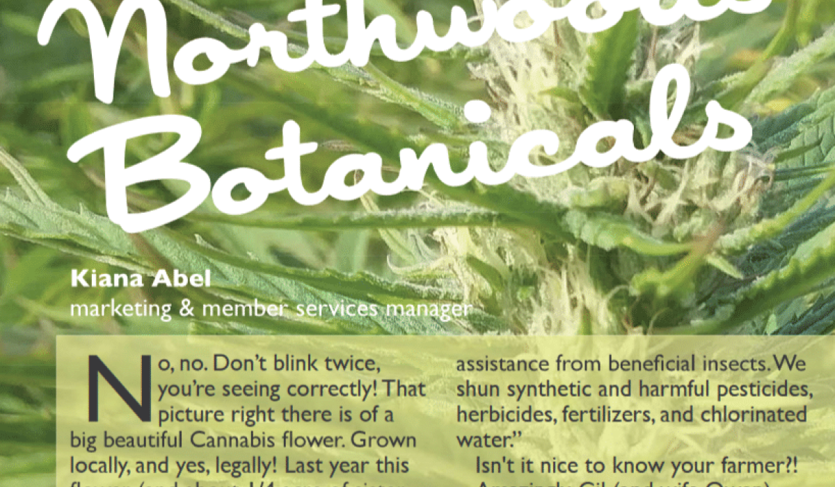 Ashland Co-op CBD feature